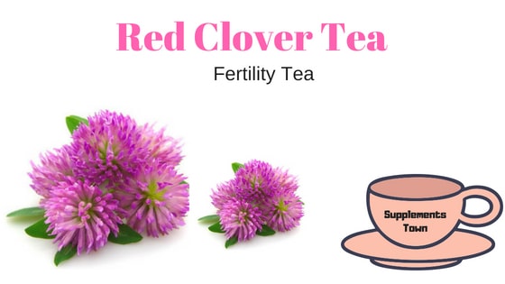 Red Clover Fertility Tea