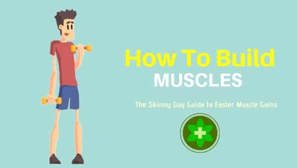 How to build muscle 
