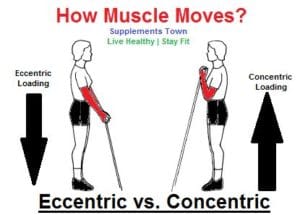 Eccentric Exercise- How Pro Athletes Aim For Maximum Muscle Growth?